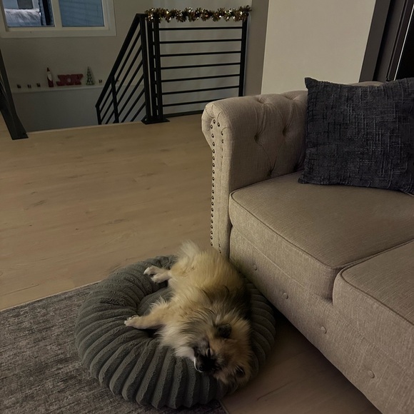 ❤️LOVES OFFERS ❤️! - Picture 5 of 16